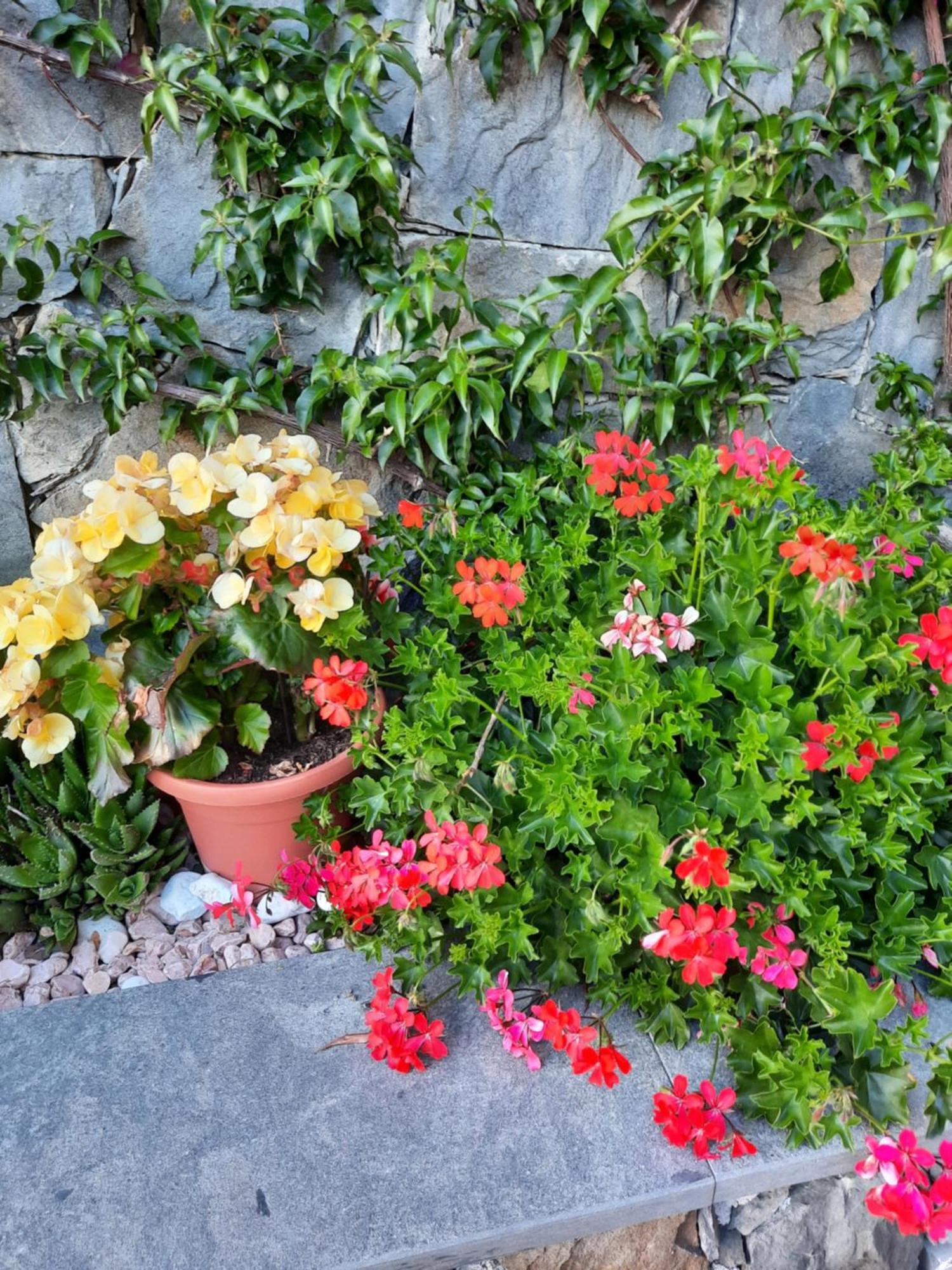 B&B Vignola Levanto Luaran gambar