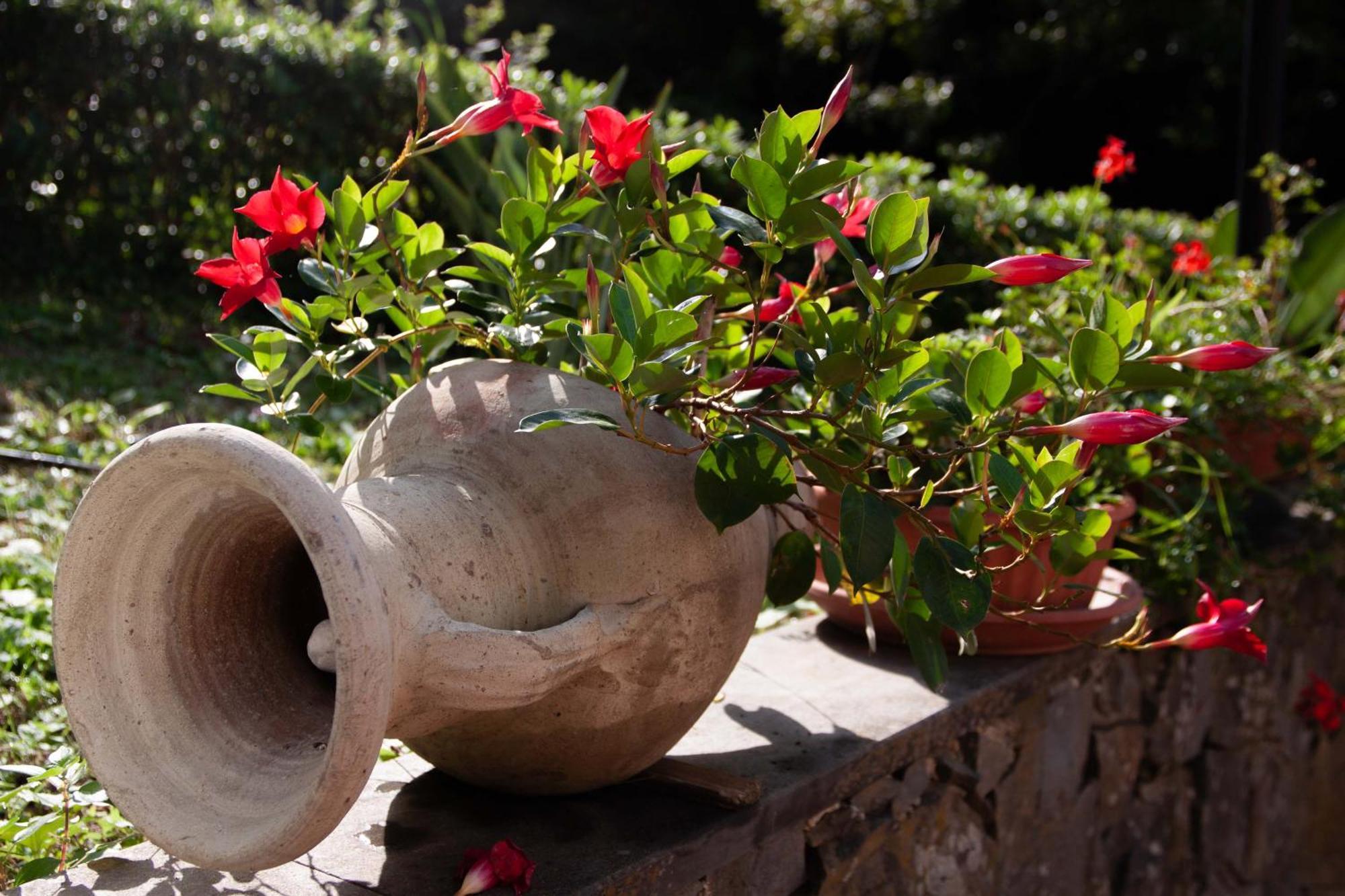 B&B Vignola Levanto Luaran gambar