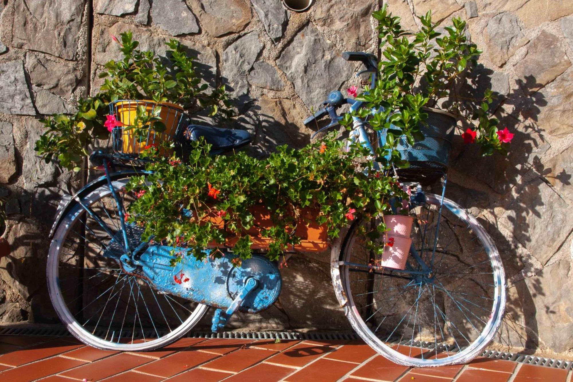 B&B Vignola Levanto Luaran gambar